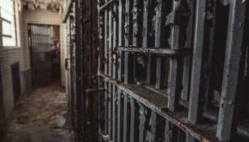 En 6 meses, 10 mujeres se suicidaron en Cefereso 16: IFDP | Entérate