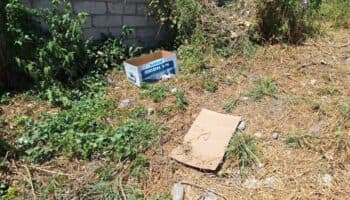 Matan a perrita embarazada en Oaxaca