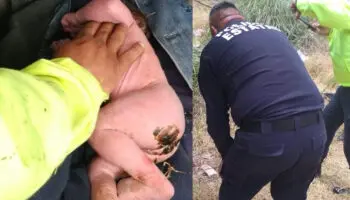 Hallan a bebé abandonado en lote baldío en Metepec