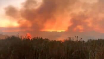 Incendios en 'Vaso de Cristo' tiñen el cielo de gris y exhiben promesas incumplidas