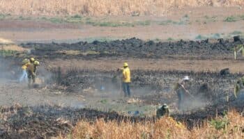 Edomex enfrenta fuegos con 'dimensiones devastadoras': Probosque