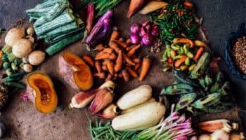 10% de la población sufre hambre, pero 40% de los alimentos no son consumidos: WWF