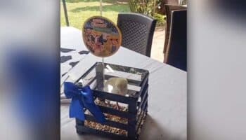 Encierran a pollitos vivos en centros de mesa para fiesta; causa indignación en redes | Video