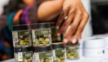 Detienen a banda internacional por estafa de 686 millones de dólares con cannabis medicinal