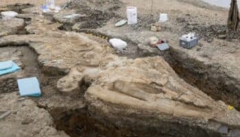 Niña británica y su padre hallan fósiles de un gigantesco reptil marino