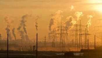 El Tribunal de Estrasburgo emite fallo histórico: la inacción climática va contra los derechos humanos