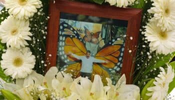 'El guardián de las monarcas', documental sobre Homero Gómez llega a cines y Netflix