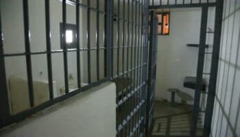 CoIDH determinó que se tiene que analizar caso por caso para dictar prisión preventiva: David Peña | Entérate