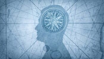 Determinan el mecanismo neuronal que permite aprender y olvidar