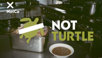 ¿IA para salvar especies en peligro de extinción? Recrean sopa de tortuga con tecnología