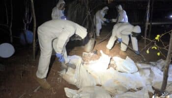 Marina destruye 8 laboratorios de metanfetaminas en Sinaloa