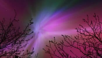 Así se vieron las auroras boreales en el mundo, incluido México | Fotogalería
