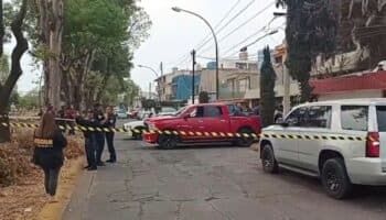 Rescatan cabras, gallinas y pollos de casa de santeros en Naucalpan