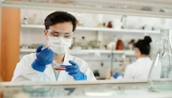 Científicos chinos reviven tejido cerebral humano que llevaba congelado 18 meses