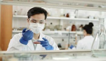 Científicos chinos reviven tejido cerebral humano que llevaba congelado 18 meses