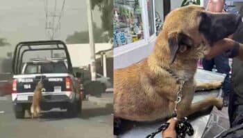 Video | Policías de Tizayuca arrastran a perrita en una patrulla; explican qué pasó