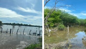 Incomunicado San Francisco del Mar por lluvias que afectaron su agencias municipales