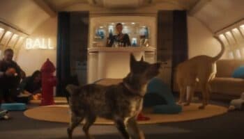 Debuta 'Air Ladrido', una aerolínea lujosa para perros
