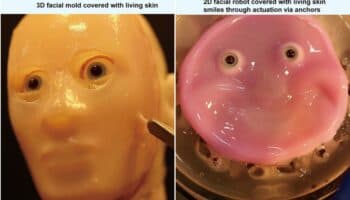 Científicos japoneses crean robots cubiertos con 'piel viva' | Video