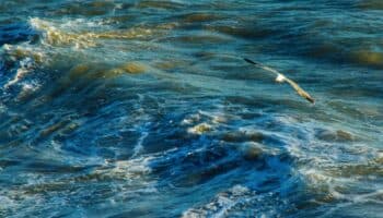 Terminó el fenómeno El Niño y habrá cambios climáticos en el mundo