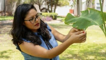 Científica mexicana produce música generada con sonidos de las plantas