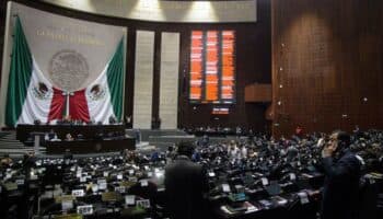 ¿Desaparecerán los plurinominales en 2025?: Edmundo Jacobo Molina