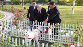 Perros de caza y una limusina: Los exóticos regalos entre Kim y Putin en histórica cumbre | Video