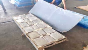 Incautan en aduana de Veracruz 7 toneladas de marihuana que iban a Dominicana