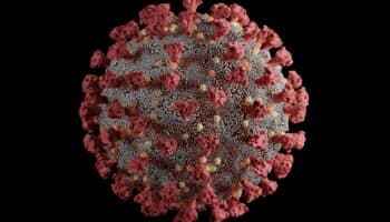 Un prometedor descubrimiento podría terminar finalmente con el Covid largo