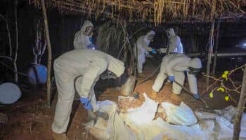 Destruir narcolaboratorios se ve como un éxito, pero no se atiende el daño que se genera en ecosistemas frágiles: América Armenta | Entérate