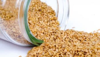 ¿Qué es y cuáles son los beneficios de la linaza?