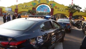 Six Flags quería cortar 150 árboles para nueva atracción; Alcaldía Tlalpan lo rechazó