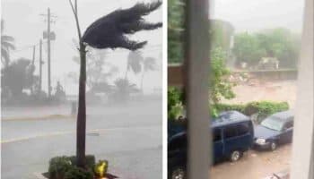 Videos | Huracán Beryl azota Jamaica y se dirige a México