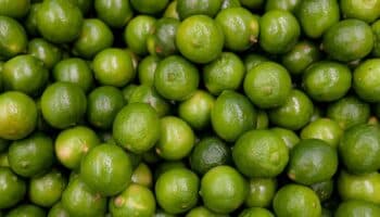 Productores de limón en Michoacán paran actividades tras asesinato de empresario