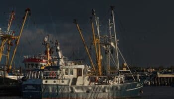 15 millones de personas viven en la costa del Golfo de México y más de 90 mil familias dependen de la pesca: Oceana | Video