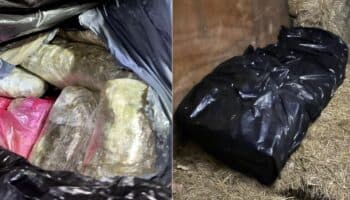 Vinculan a proceso a hombre por portar más de una tonelada de marihuana