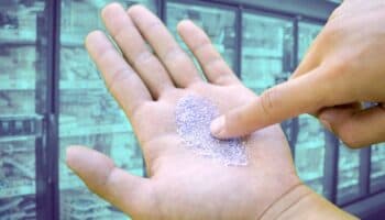 Comer alimentos ultraprocesados aumenta la cantidad de microplásticos en el cuerpo: estudio