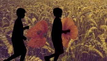 EU alerta de niños en México involucrados cosecha de sustancias para hacer drogas