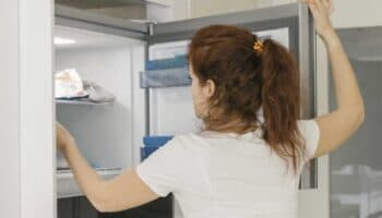 ¿Qué alimentos pueden volverse a congelar una vez que fueron descongelados?