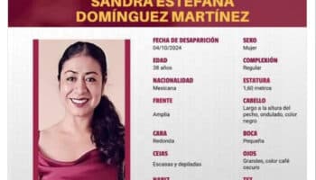A falta de respuesta oficial, activista anuncia búsqueda por cuenta propia para encontrar a Sandra Domínguez