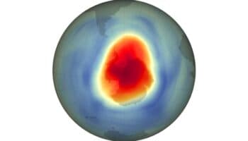¿Cuándo se restauraría por completo la capa de ozono? NASA estima fecha