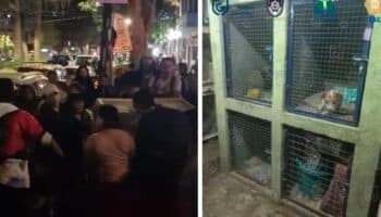 Fiscalía CDMX 'rescata' animales tras denuncia de maltrato en albergue; vecinos protestan por irregularidades durante operativo