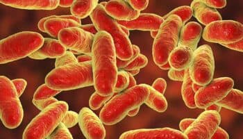 Especialista advierte que la resistencia bacteriana podría ser la principal causa de muerte en 2050