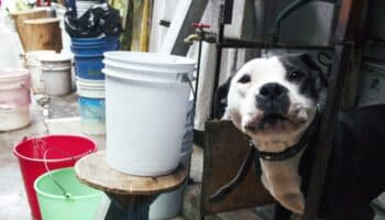 Corte de agua en Iztapalapa; estas colonias serán afectadas