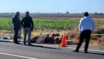 Reportan el hallazgo de 10 cuerpos sin vida en Culiacán, Sinaloa