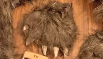 Hombre vestido de oso destrozó autos de lujo en intento de estafa | Video