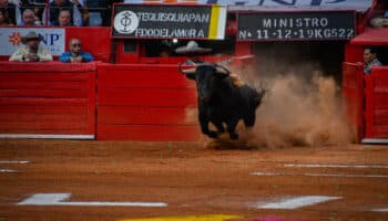Tauromaquia | 'La ilegalidad aquí no existe, es absolutamente lícito, desde hace casi 500 años': Manuel Sescosse | Video