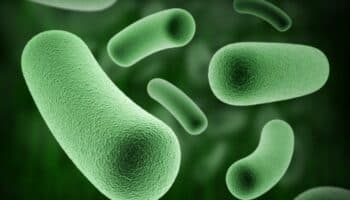 Brote de Klebsiella oxytoca 'bajo control': Secretaría de Salud EdoMex
