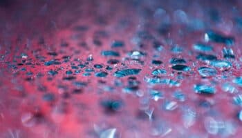 Los microplásticos en el aire pueden dañar la salud reproductiva, digestiva y respiratoria