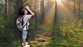 Naturaleza mexicana: ciencia ciudadana y la piedra Rosetta | Artículo de Carlos Galindo